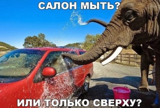 Прикольныe картинки