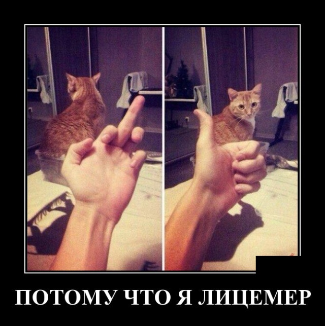 Демотиваторы