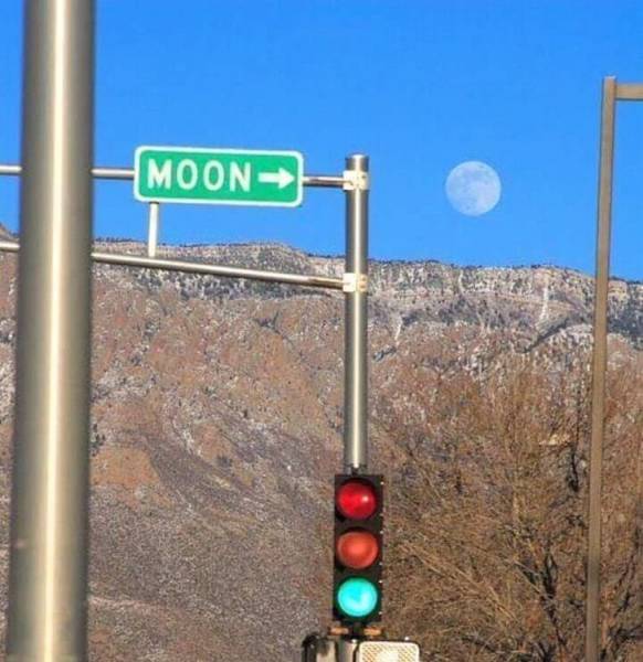 Фотографии, сделанные в нужный момент