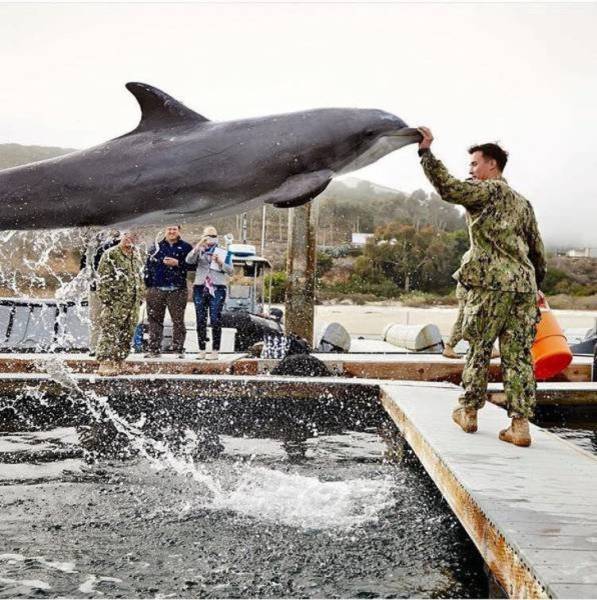 Фотографии, сделанные в нужный момент