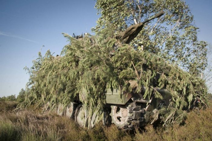 Военный камуфляж