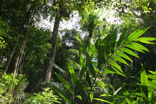 Изобретения, о которых вы не знали