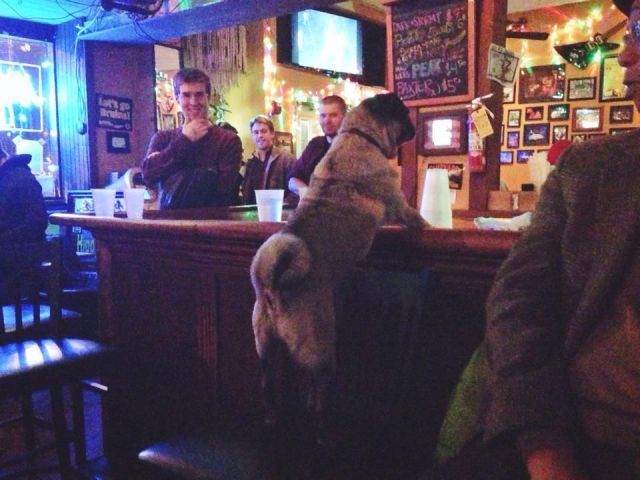 Прикольные картинки