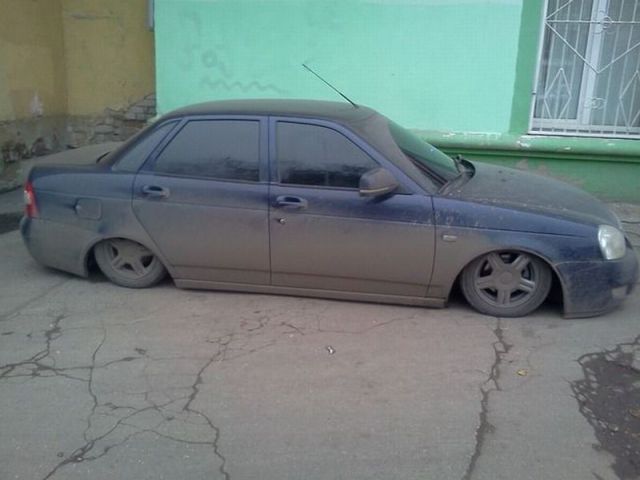 Прикольные картинки