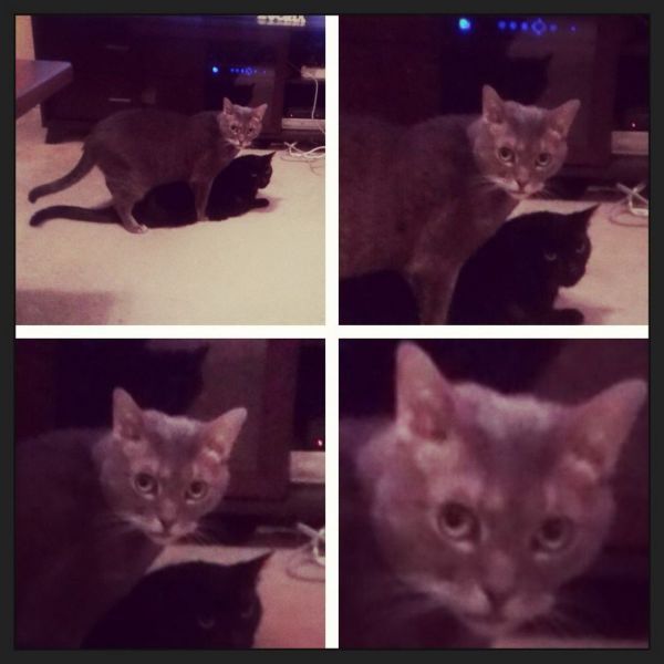 Прикольные картинки