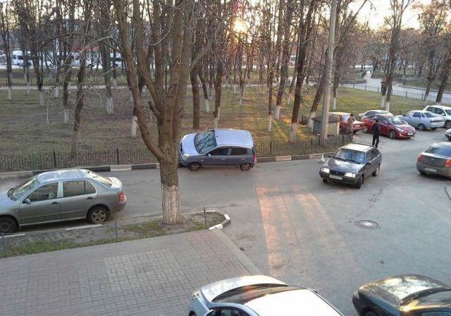 Прикольные картинки