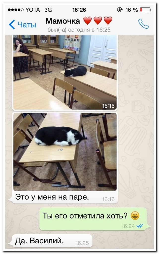 Смешные комментарии из социальных сетей
