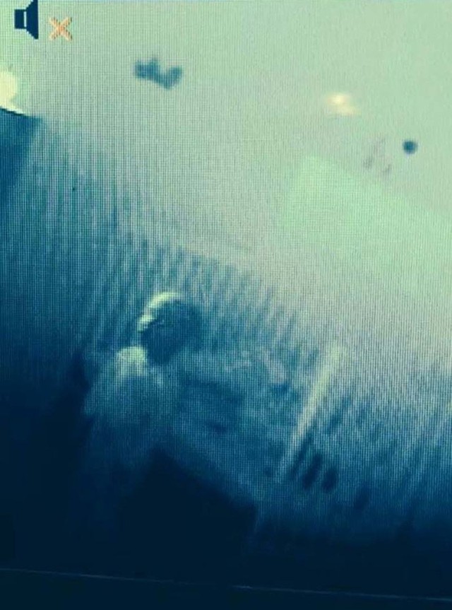 Реальные фотографии будто из ужастика Реальные фотографии будто из ужастика