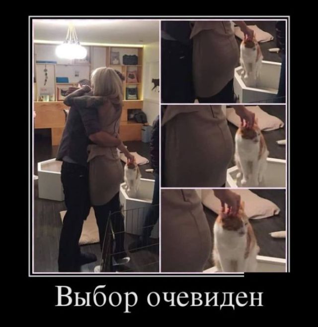 Демотиваторы