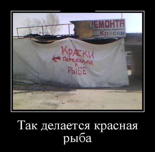 Демотиваторы