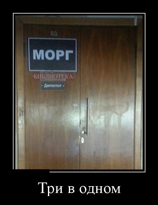 Демотиваторы