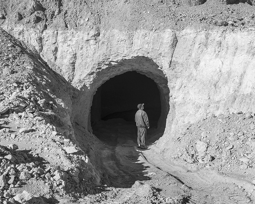 Жизнь в норе Жизнь в норе