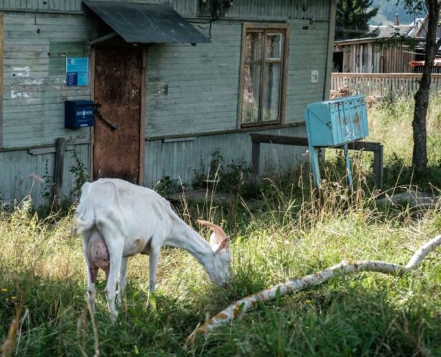 Почтовые отделения России Почтовые отделения России