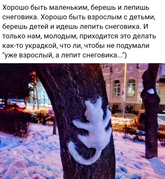 Прикольные картинки