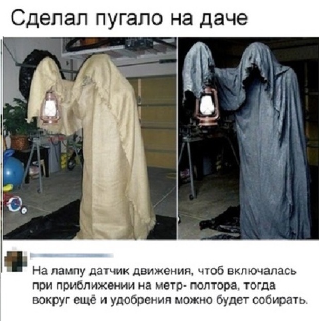 Смешные комментарии и юмор из социальных сетей