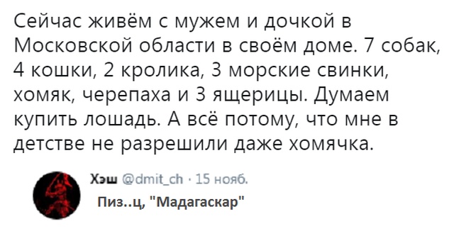 Смешные комментарии и юмор из социальных сетей