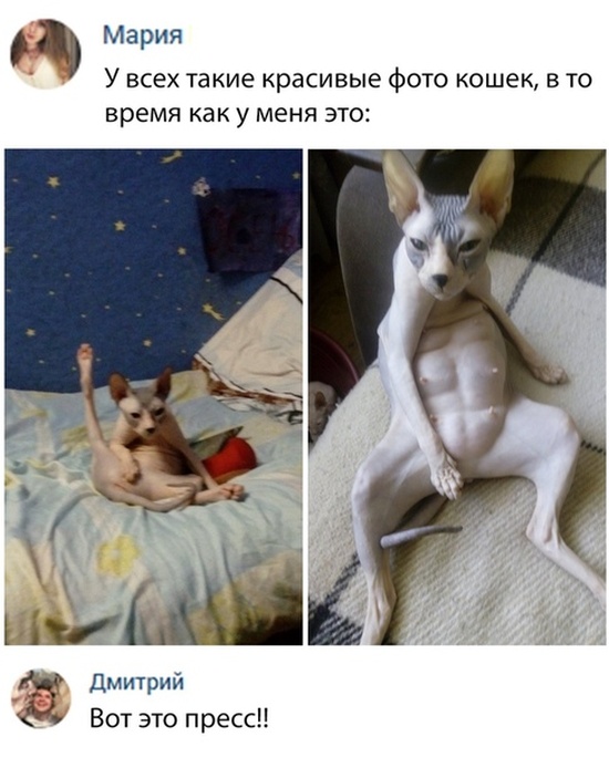 Смешные комментарии и юмор из социальных сетей
