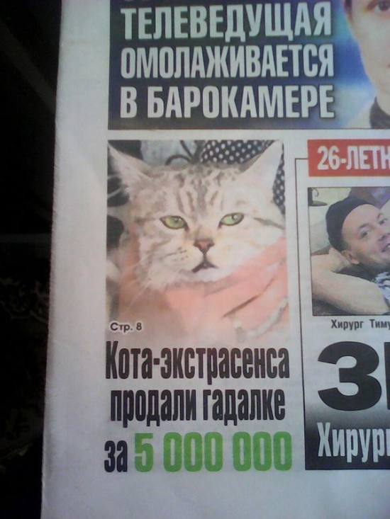 Современные ясновидящие и гадалки