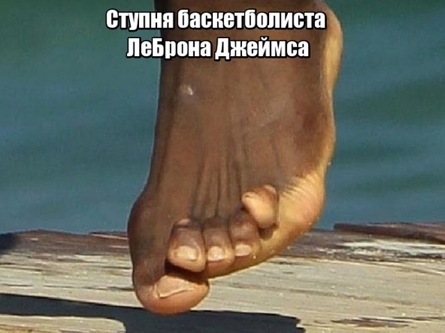 Обратная сторона побед в профессиональном спорте
