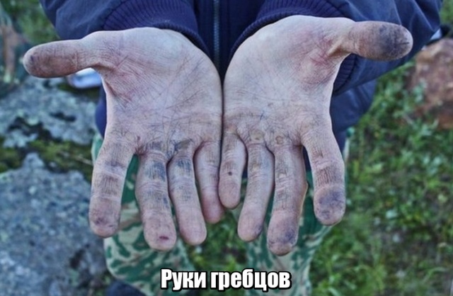 Обратная сторона побед в профессиональном спорте