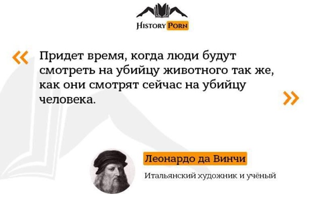 Цитаты известных людей обо всем на свете