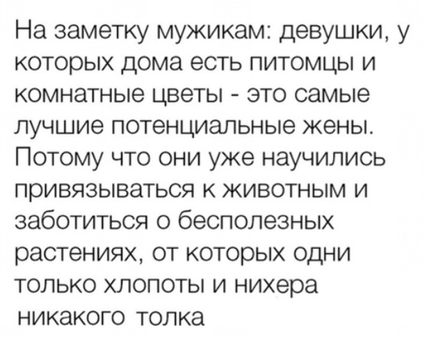 Истории и высказывания пользователей социальных сетей