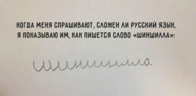 Забавный юмор для гуманитариев