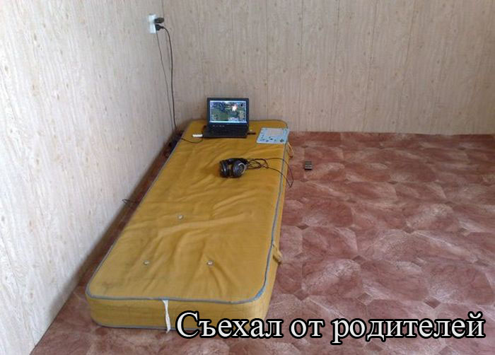 Прикольные картинки (82 фото)