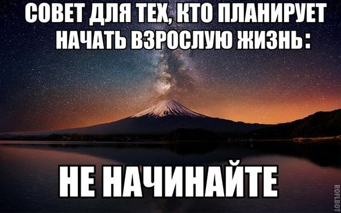 Прикольные картинки (82 фото)