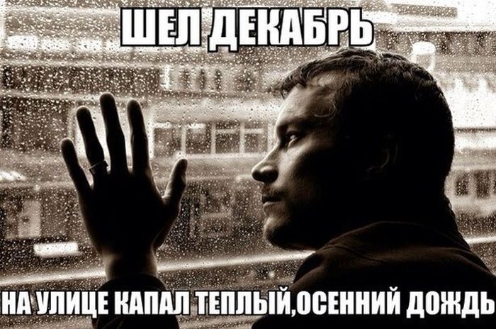Прикольные картинки (82 фото)