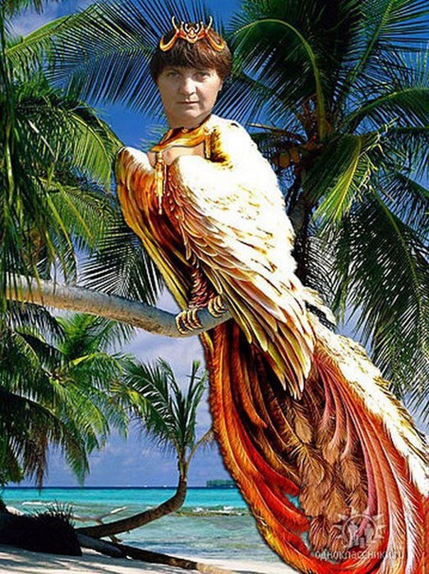 Чудики из социальных сетей