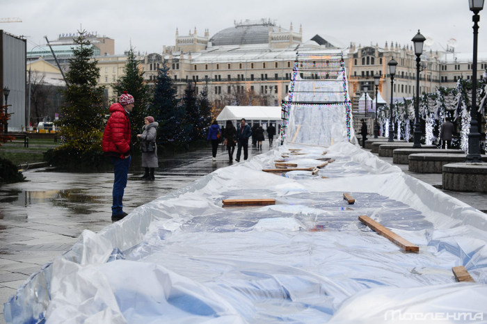 Последствия аномально теплой погоды в Москве