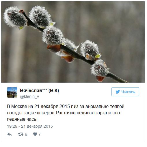 Последствия аномально теплой погоды в Москве
