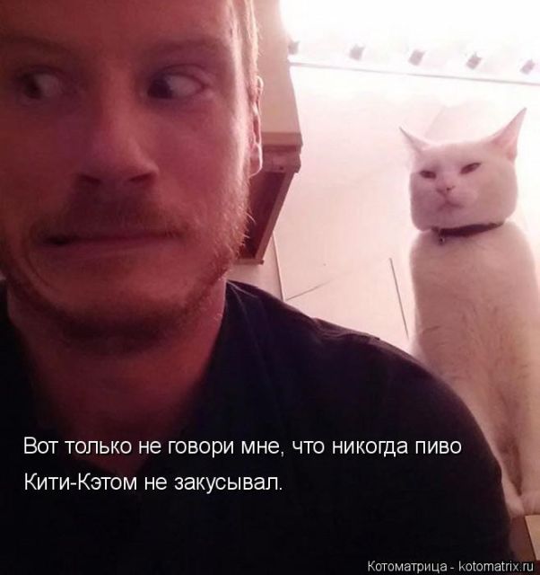 Лучшие котоматрицы недели