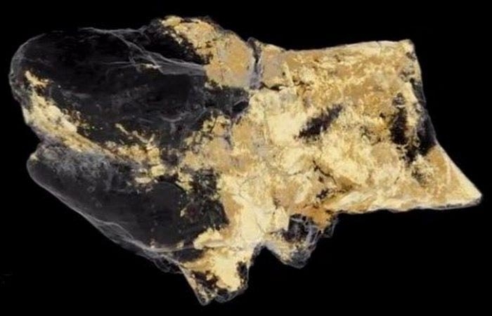 10 ценных исторических находок, которые показали миру совсем недавно