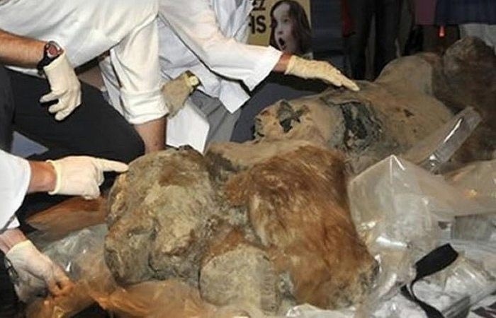 10 ценных исторических находок, которые показали миру совсем недавно