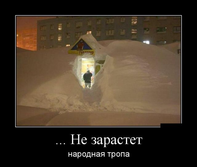 Демотиваторы