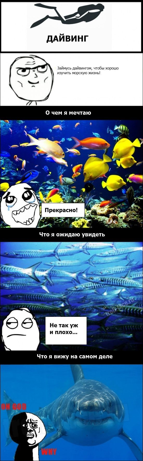 Смешные комиксы