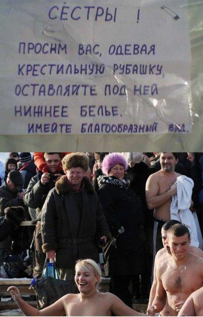 Прикольные картинки