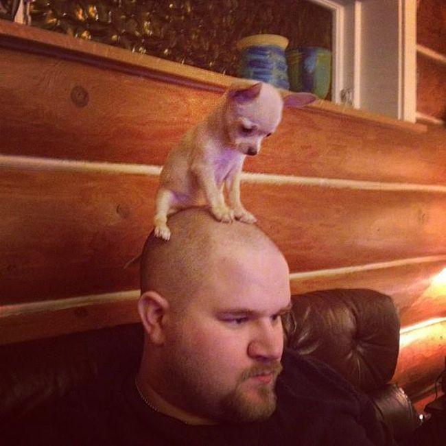 Прикольные картинки