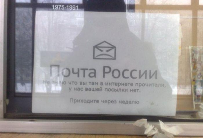 Прикольные картинки