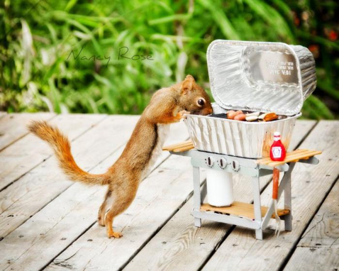 Забавные белочки Нэнси Роуз