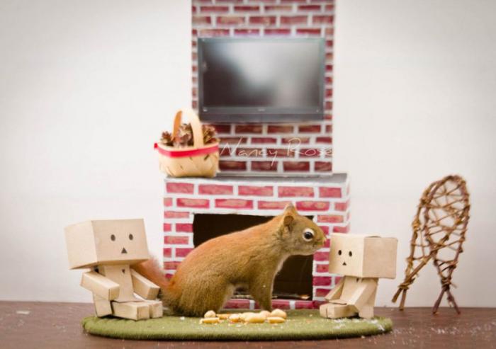 Забавные белочки Нэнси Роуз