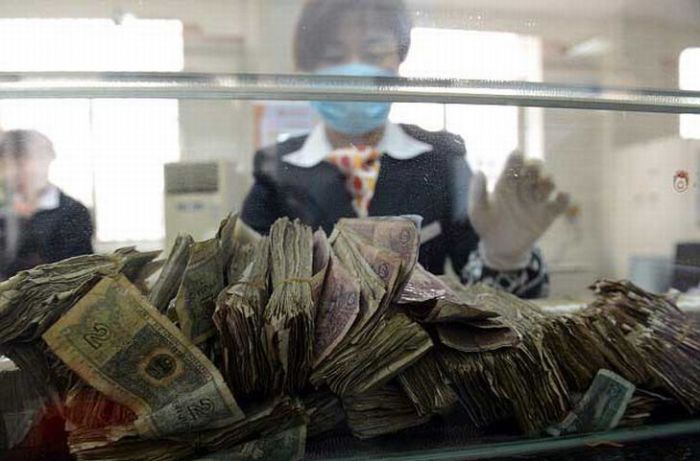 Гора денег (6 фото)