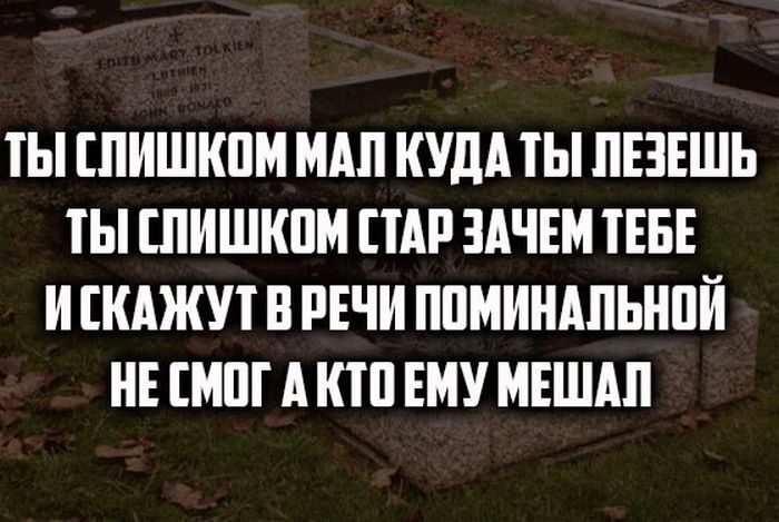 Порция картинок