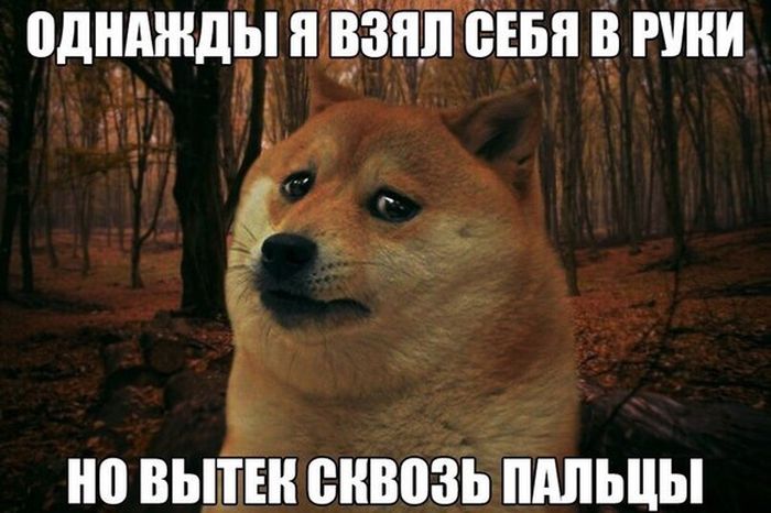 Порция картинок