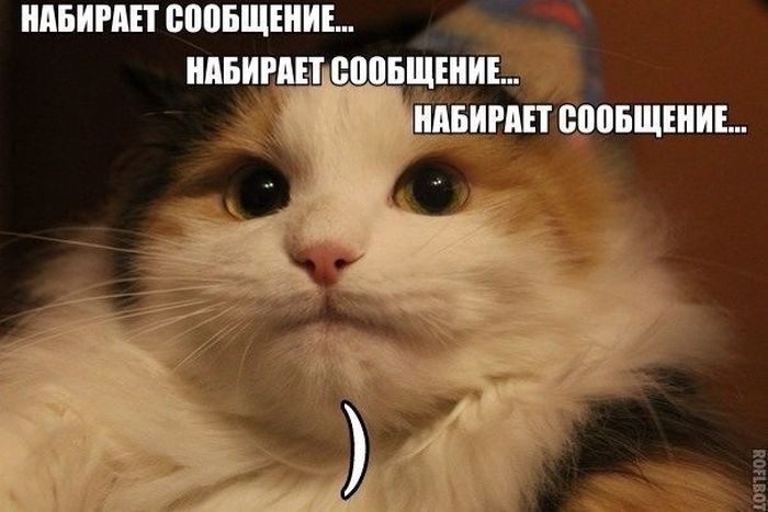 Порция картинок