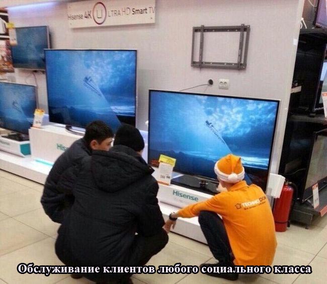 Порция картинок