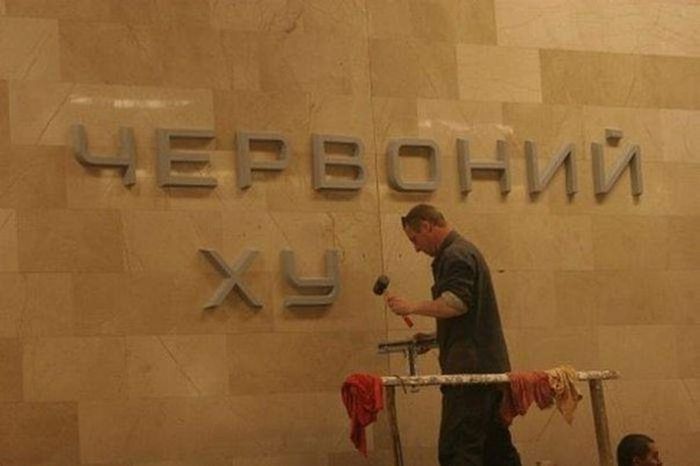 Порция картинок