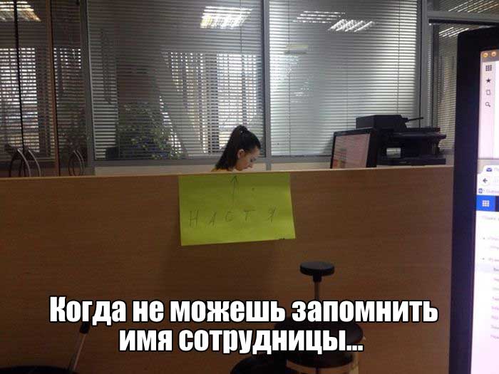 Прикольные картинки